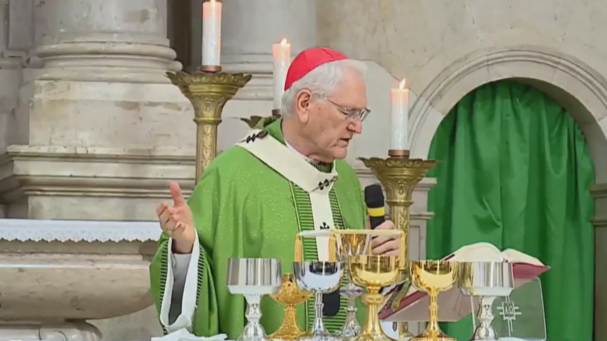 Cardeal Steiner: trilhar o “caminho das bem-aventuranças, a realização, a uma vida de plenitude”