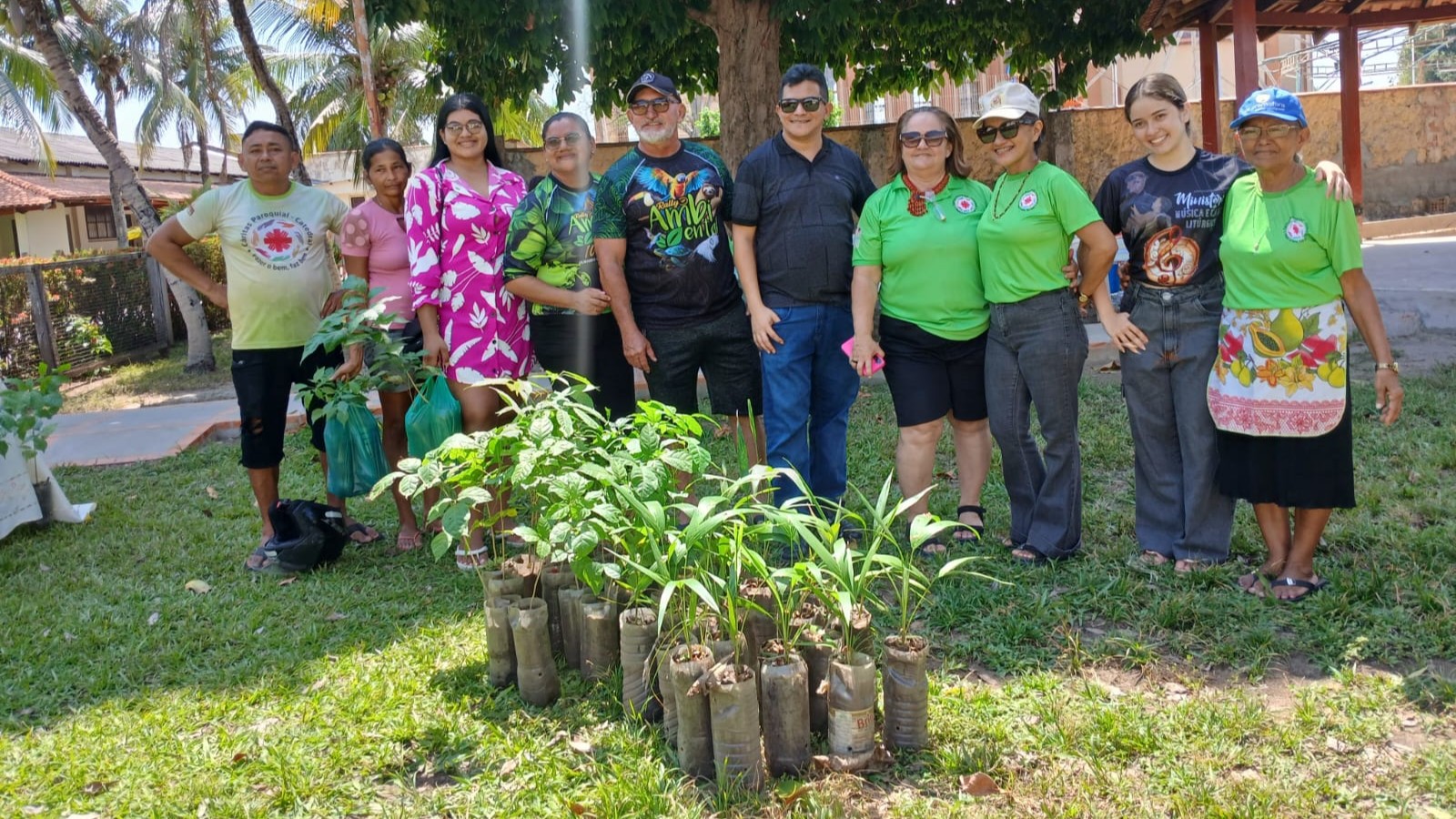 No Dia da Árvore, Caritas Parintins distribui 2.500 mudas de Ipé