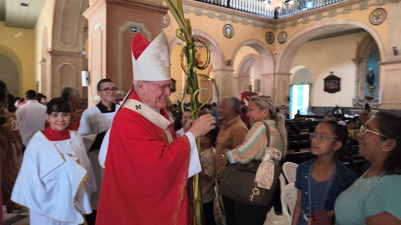 Cardeal Steiner: Como em Jesus, Deus não nos abandona.
