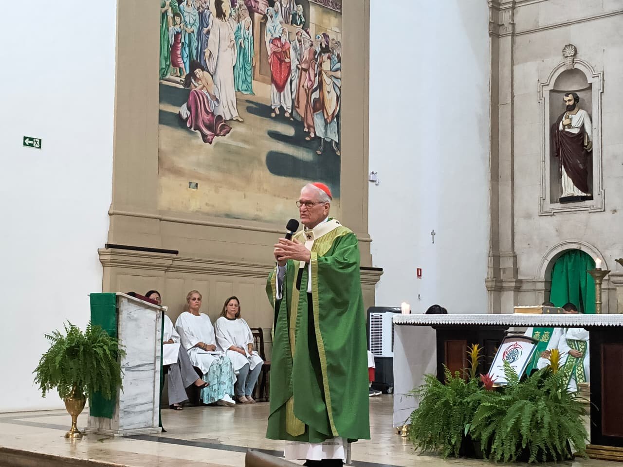 Cardeal Steiner: como Pedro proclamar que Jesus é o Filho de Deus